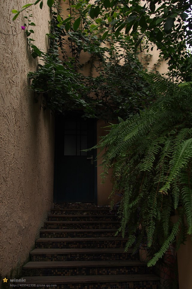 115.jpg