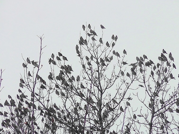 H3490062..jpg