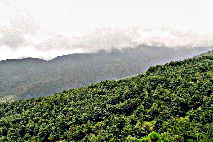 DSCF0552.jpg