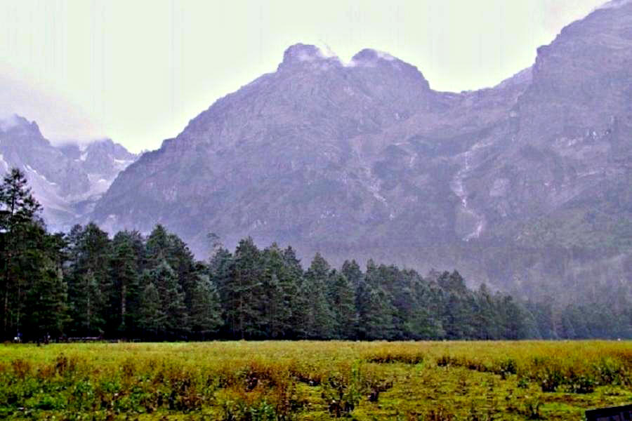 Ƭ 1014.jpg