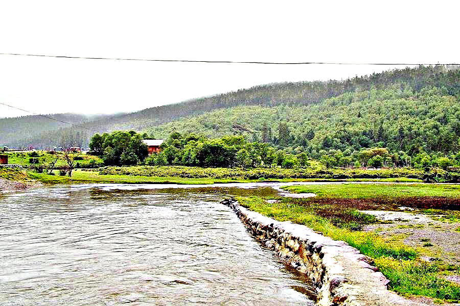 DSCF0938.jpg