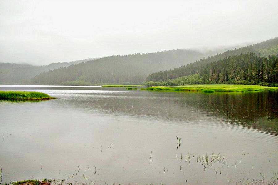 DSCF0960.jpg