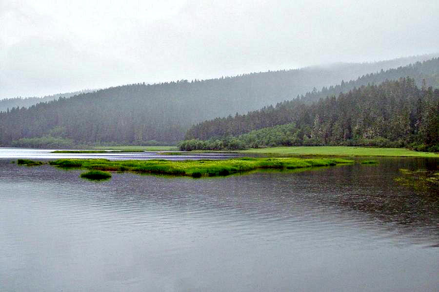 DSCF0964.jpg