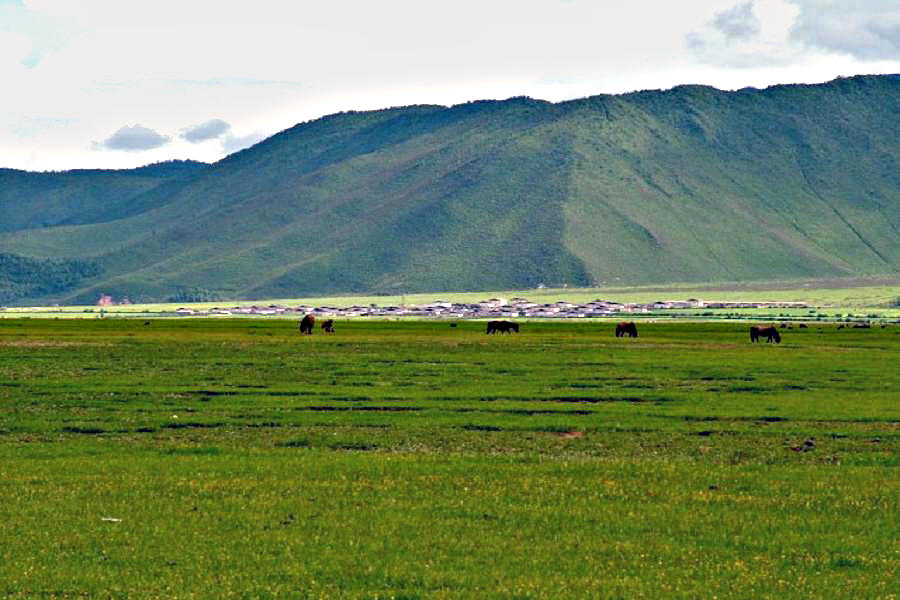 DSCF0914.jpg