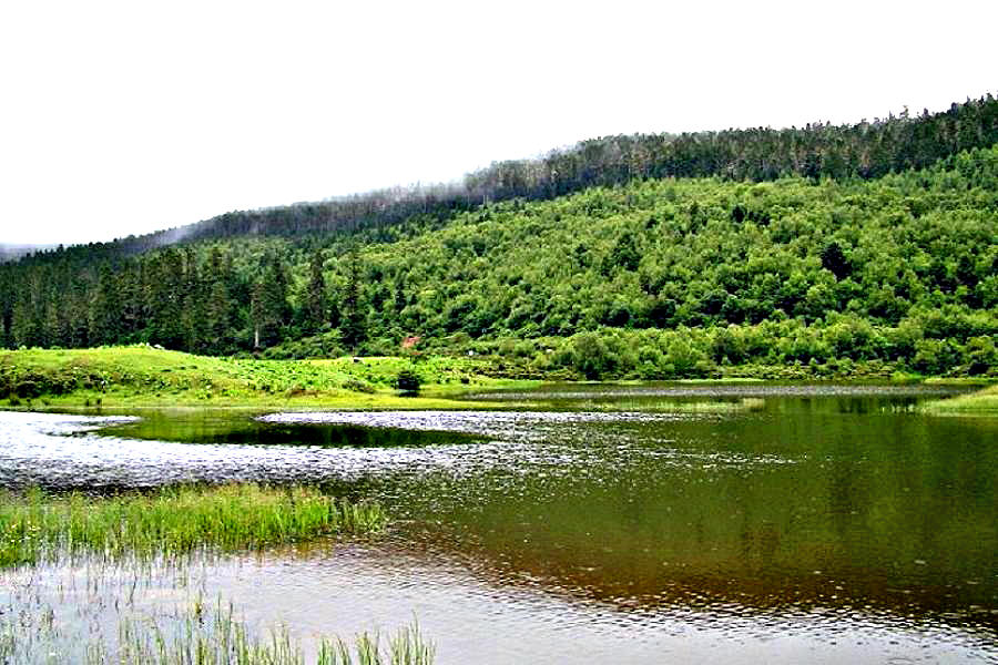 DSCF0954.jpg