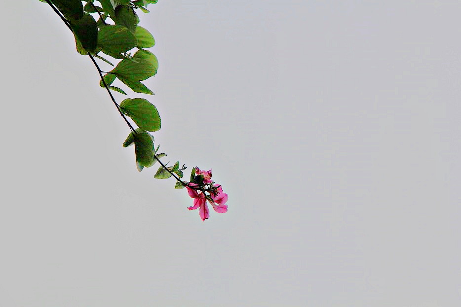 IMG_3414.JPG