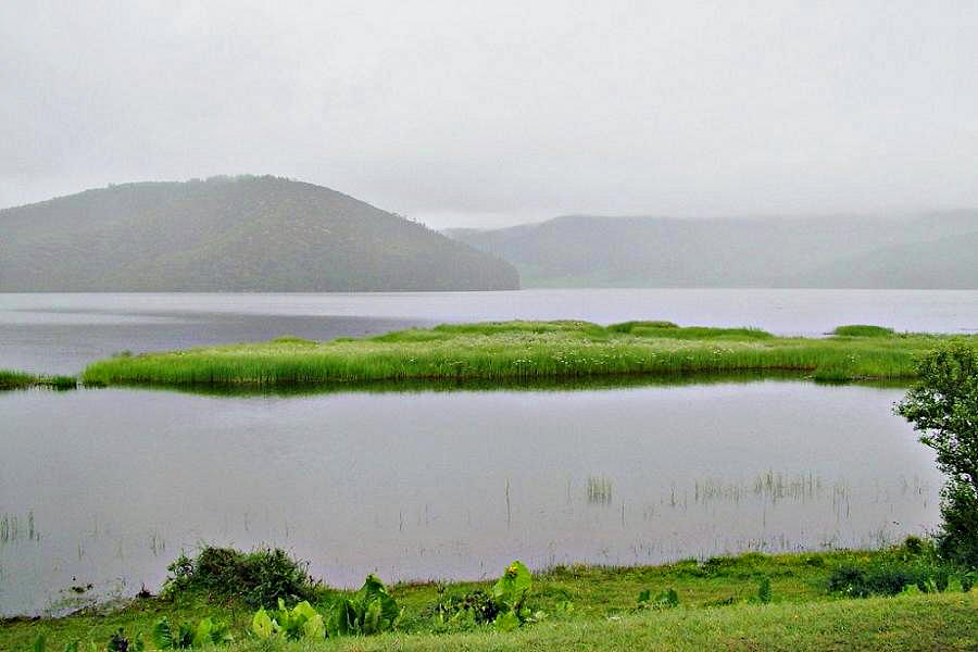 DSCF0966.jpg