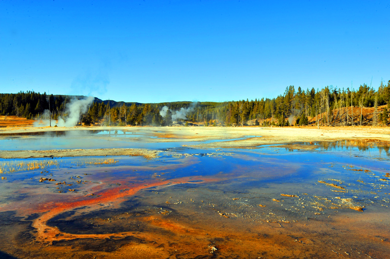 NSH_0134aa.jpg
