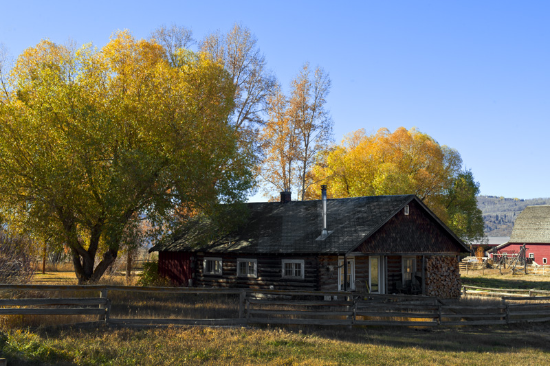 NSH_9939aa.jpg