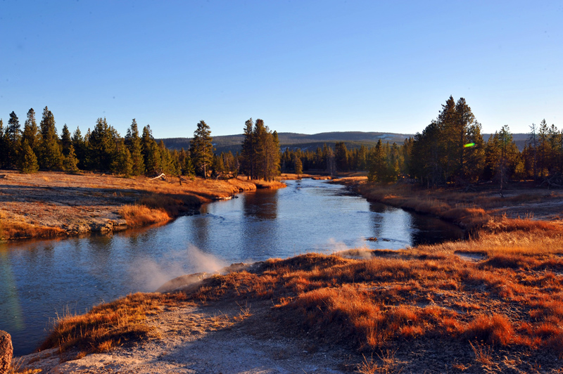 NSH_0190aa.jpg