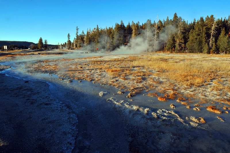 NSH_0228aa.jpg