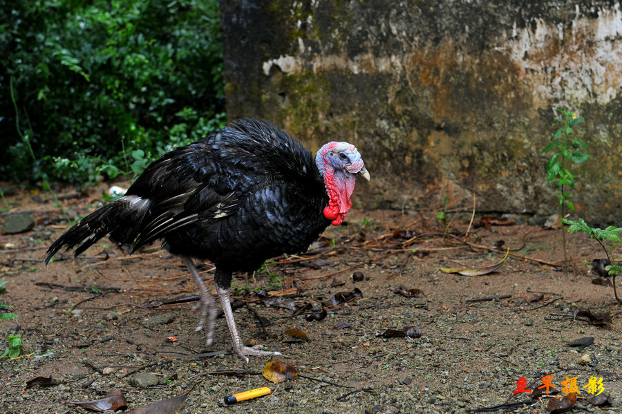 DSC_0428.jpg