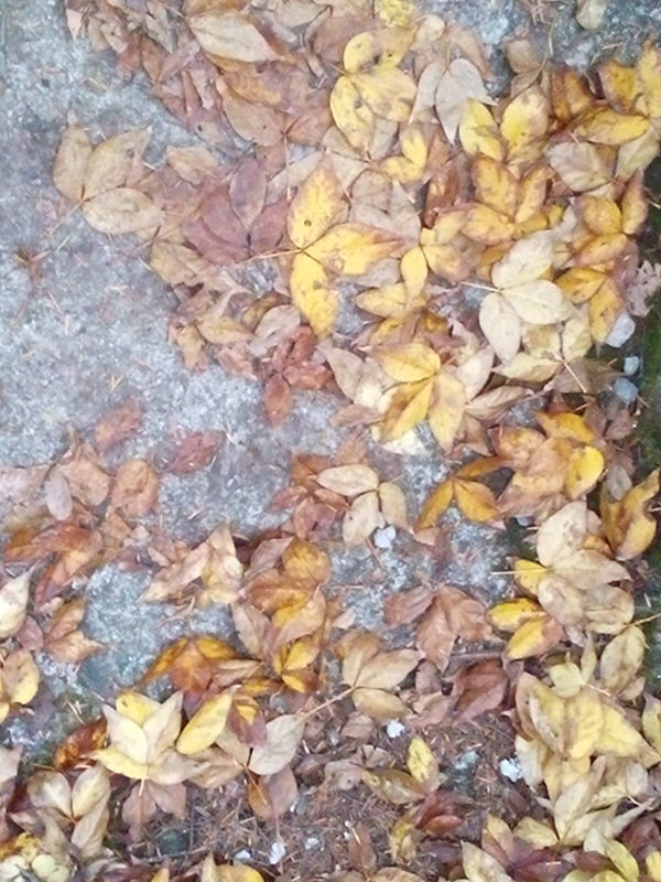 122.jpg