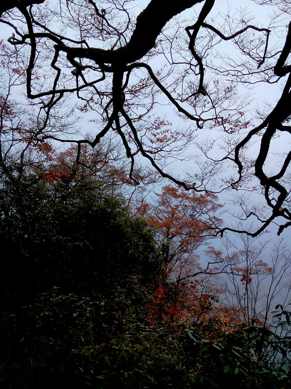 102.jpg