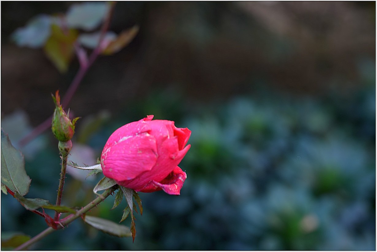 DSC_6831.jpg