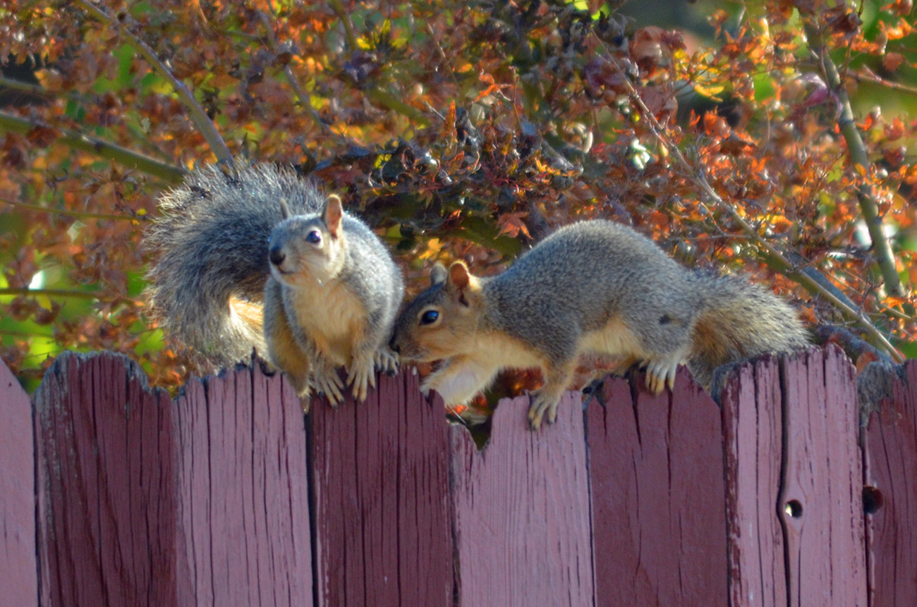 DSC_8122_000.jpg