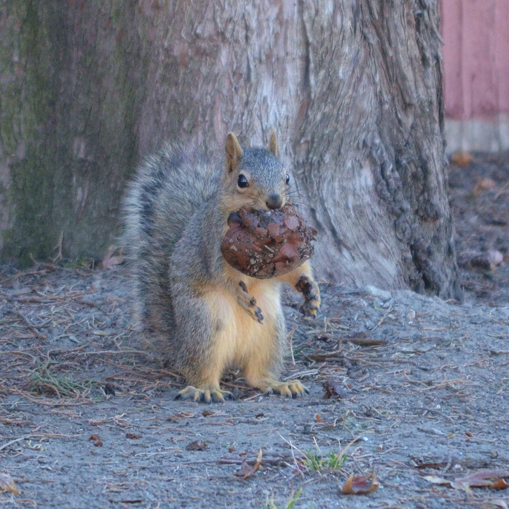DSC_7970_90.jpg