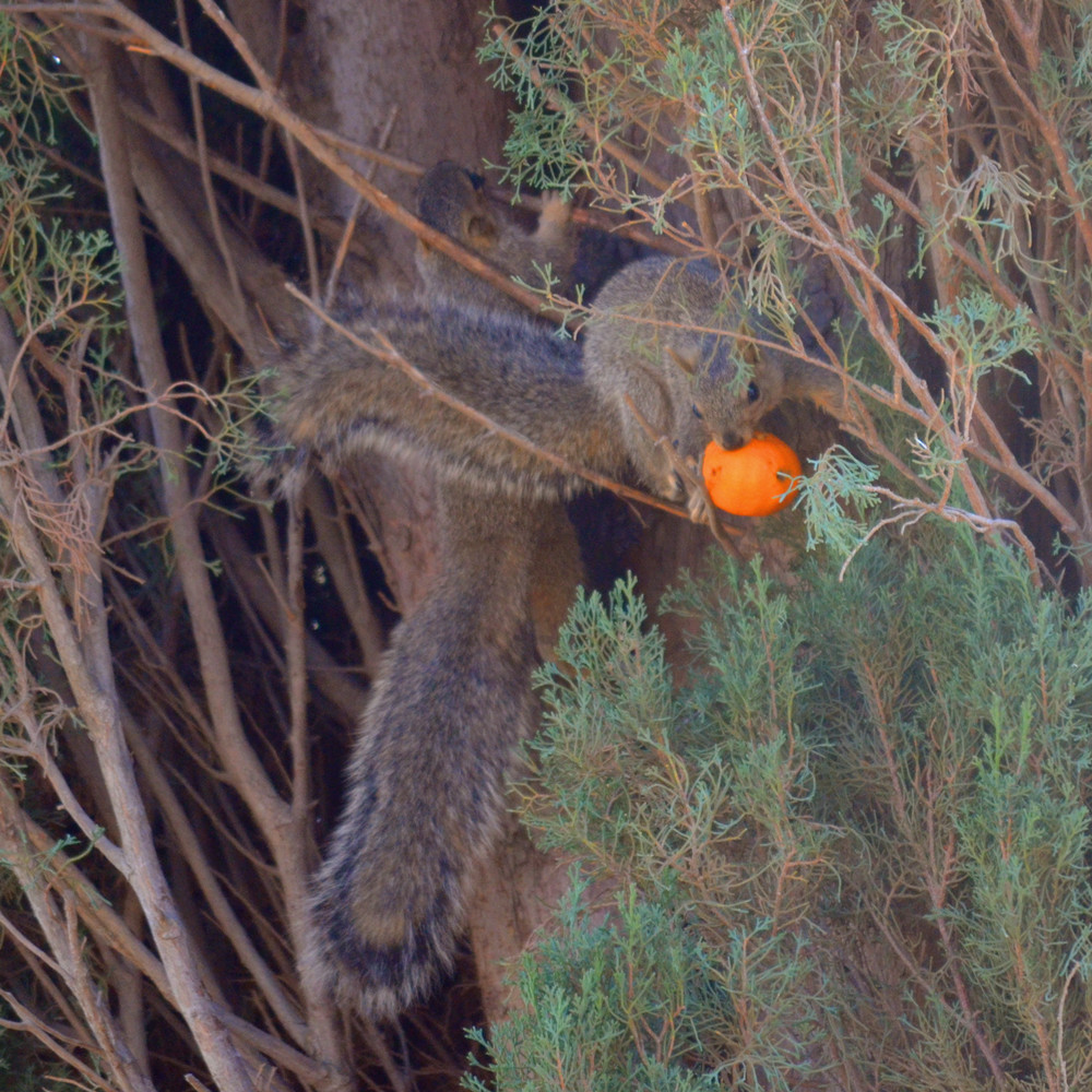 DSC_8168_33.jpg