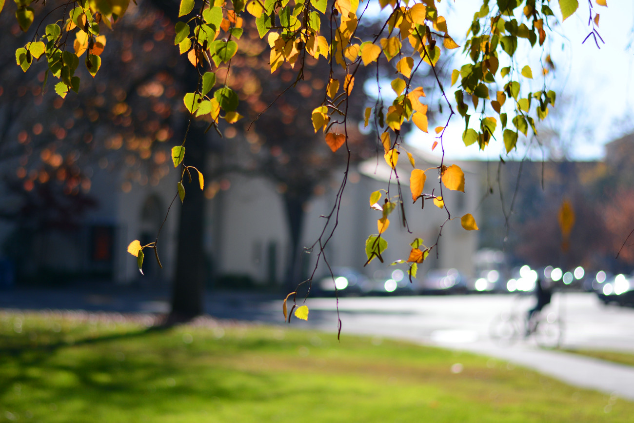 DSC_0007_40.jpg