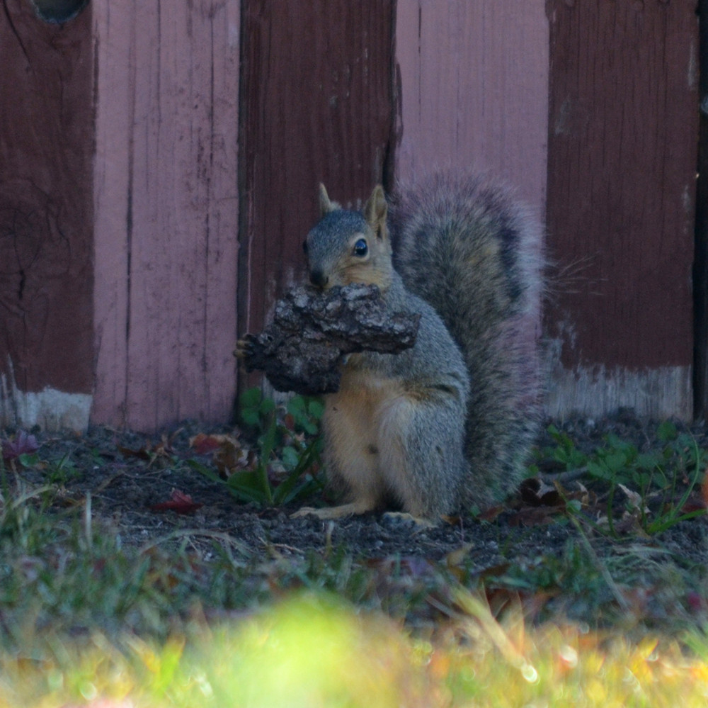 DSC_8102_49.jpg