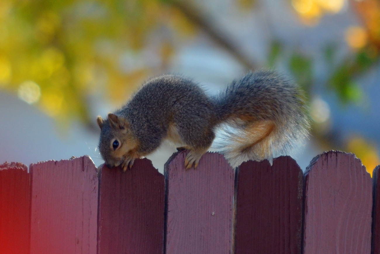 DSC_8050_59.jpg