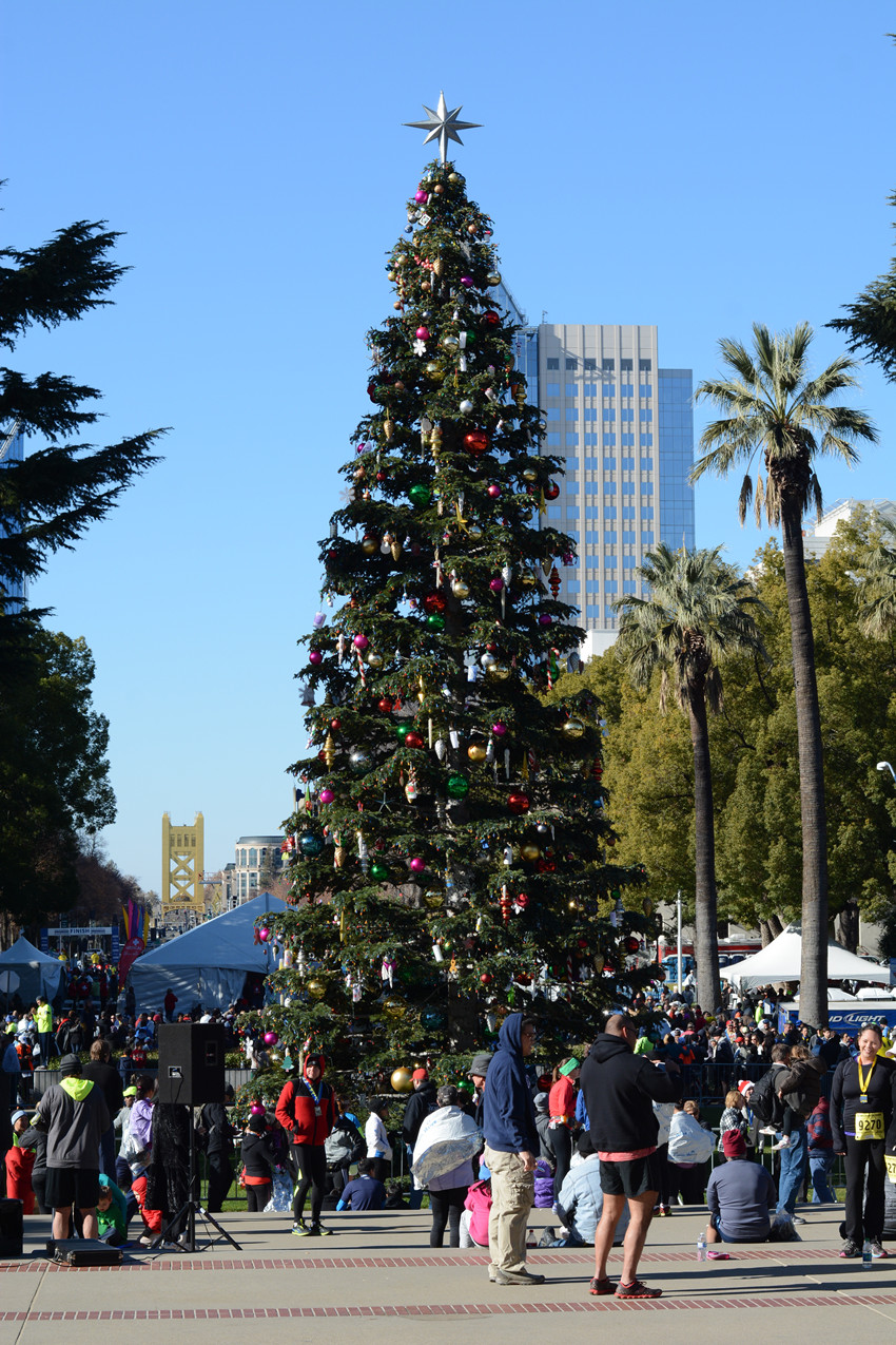 DSC_1042_22.jpg