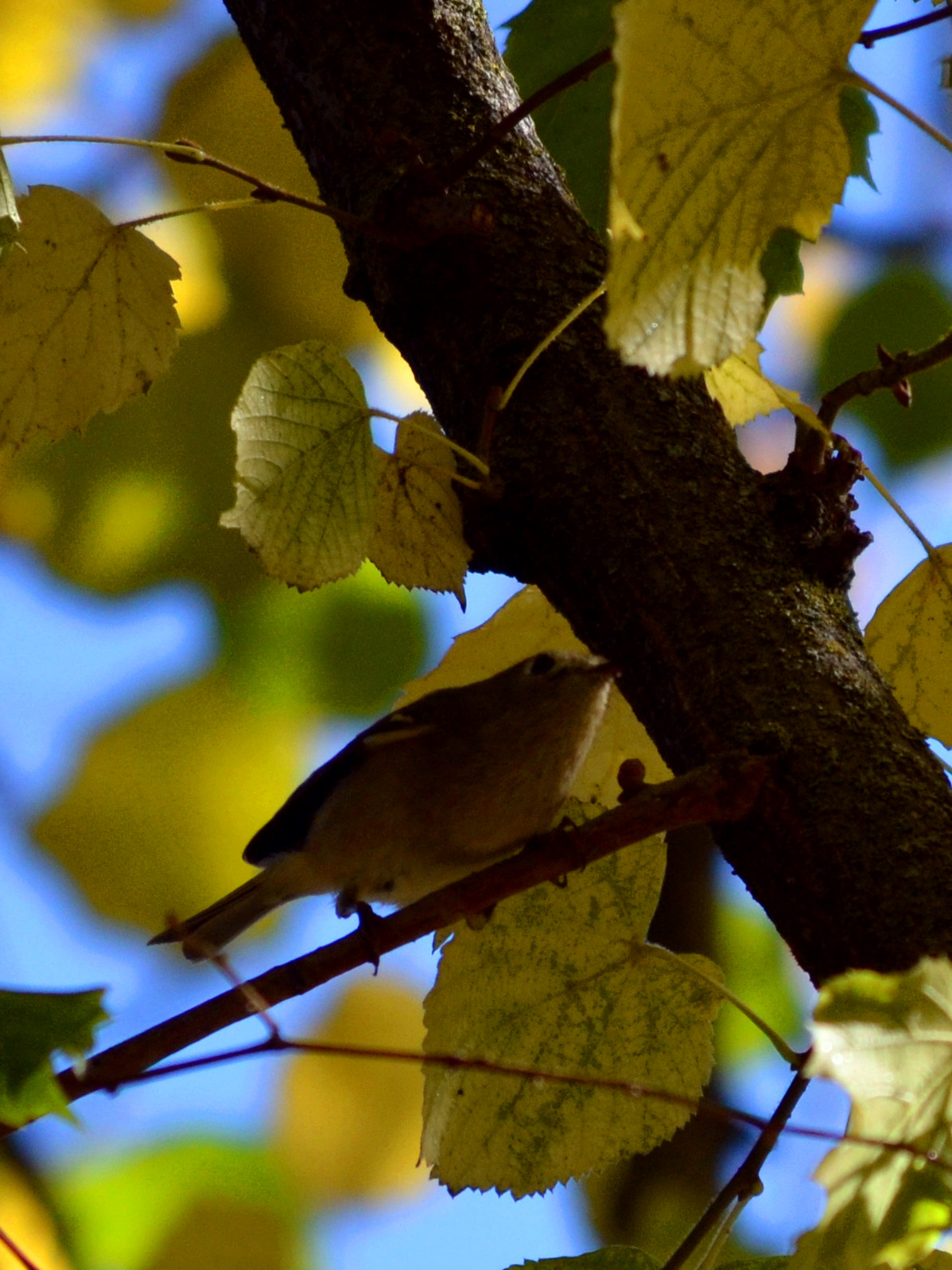 DSC_6035_098.jpg