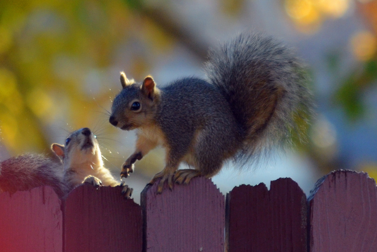DSC_8039_71.jpg