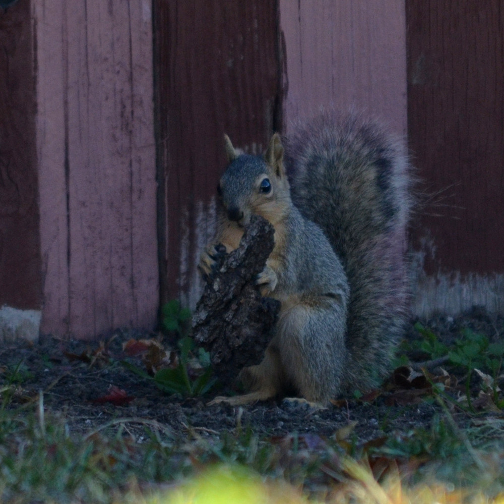 DSC_8101_50.jpg