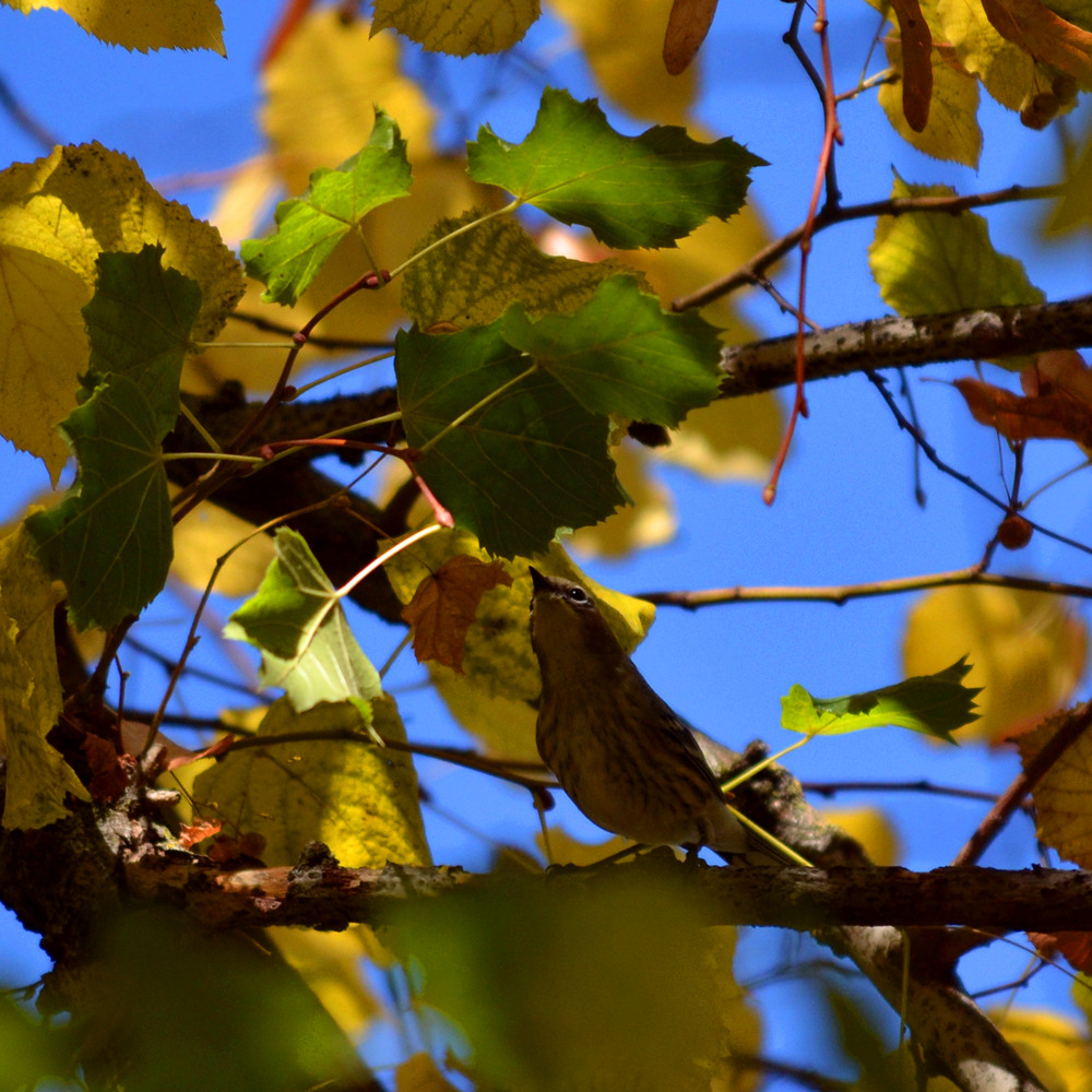 DSC_6123_01.jpg