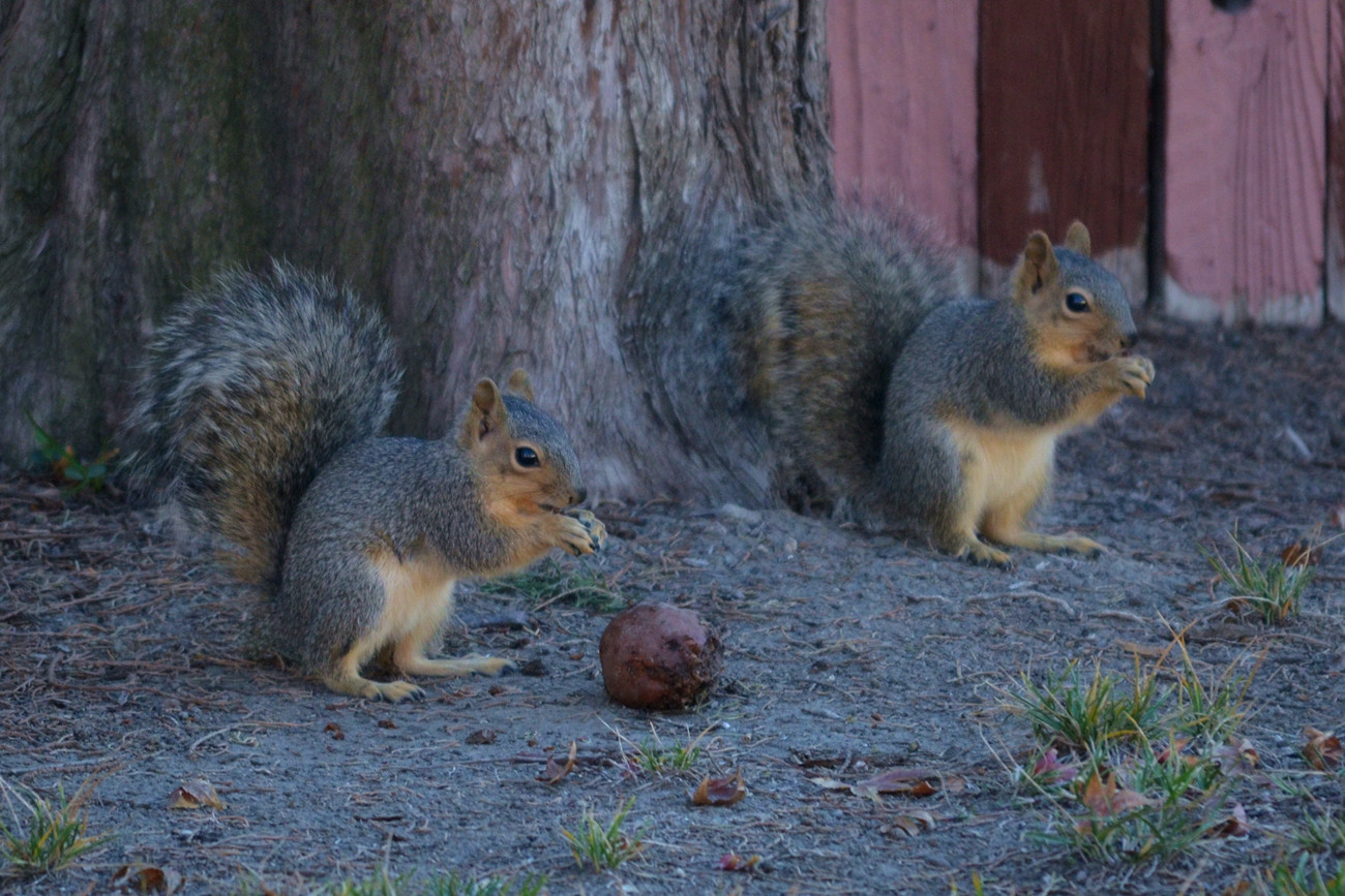 DSC_7978_86.jpg