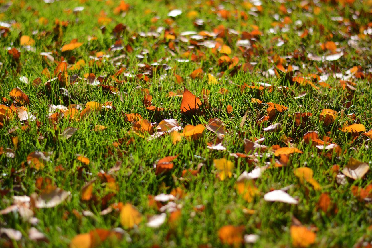 DSC_0039_34.jpg