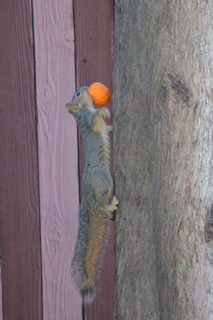 DSC_8145_12.jpg