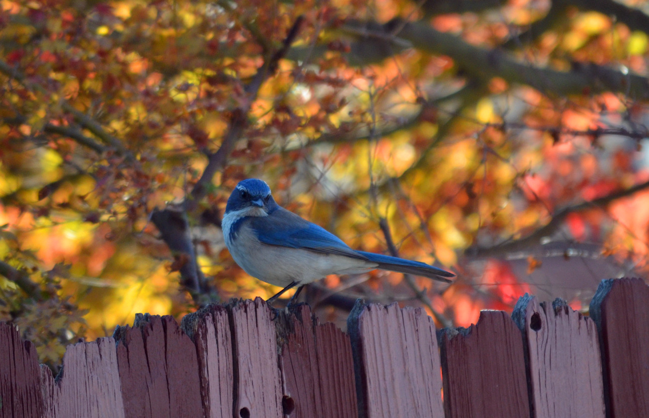 DSC_5915_66.jpg
