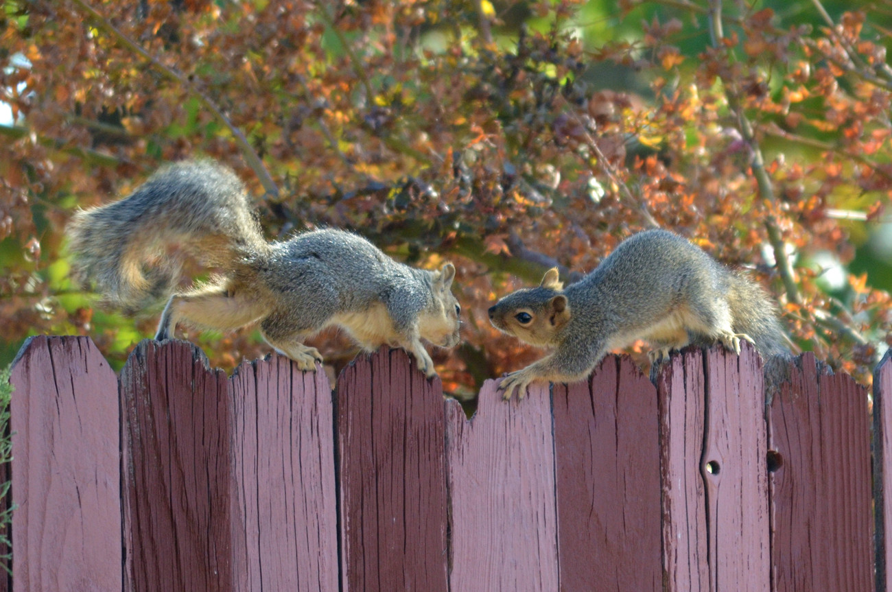 DSC_8118_47.jpg