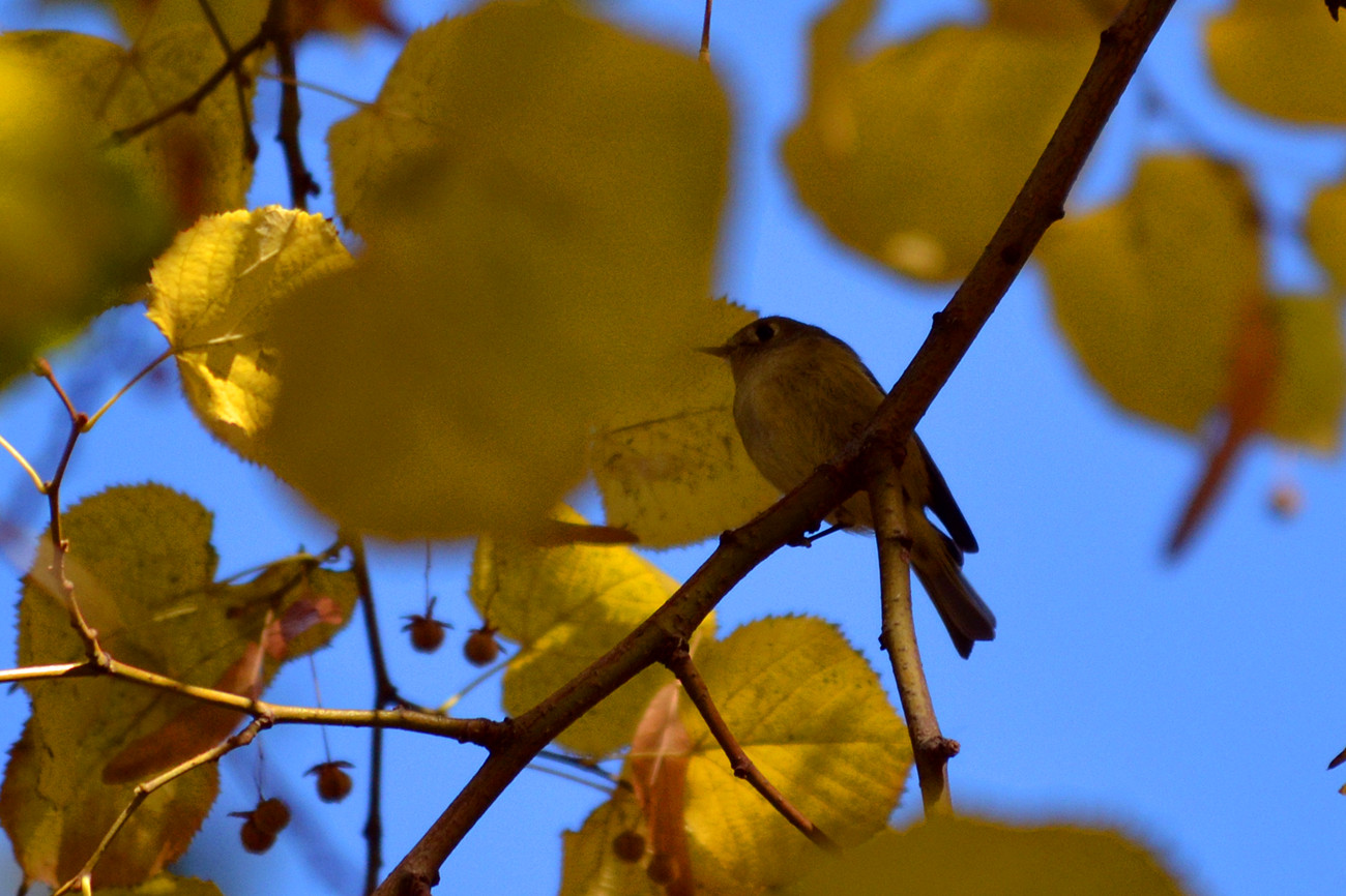 DSC_6082_07.jpg