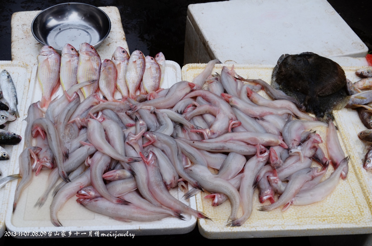 DSC_9703 (1300x861).jpg