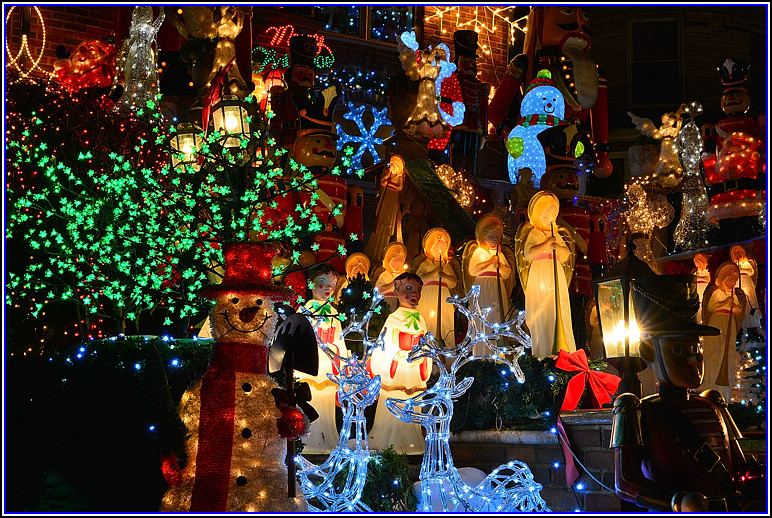 DSC_2005.jpg