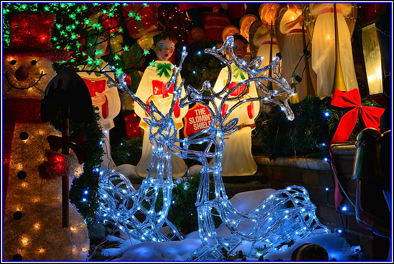 DSC_2009.jpg