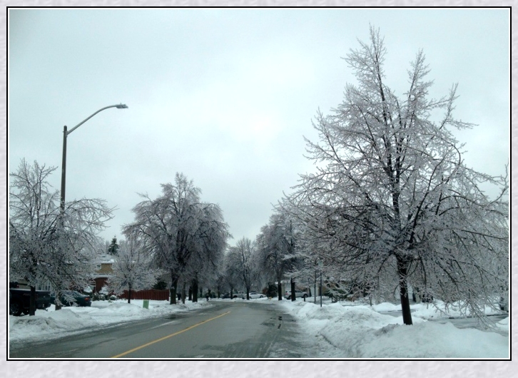 QQͼƬ20131225002811_conew1.jpg