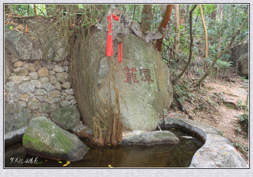 20131022 127_conew1.jpg