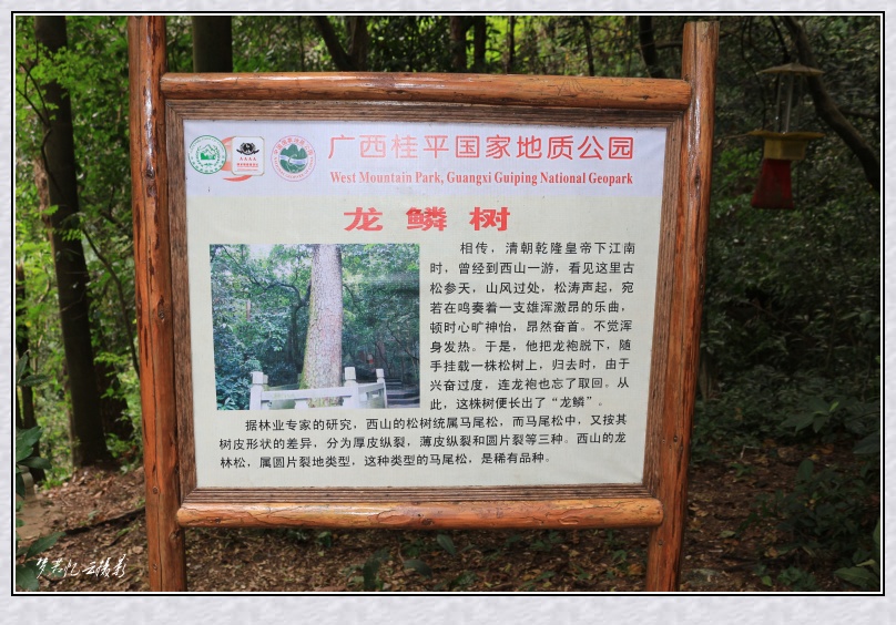 20131022 097_conew1.jpg