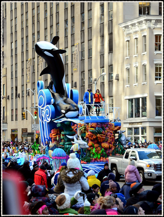 DSC_1642.jpg