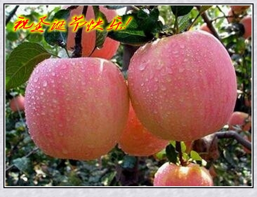 psb_conew2.jpg