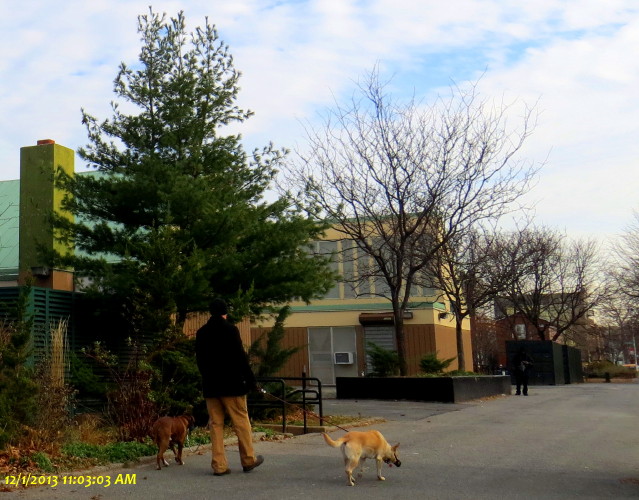 IMG_0001_6100.jpg