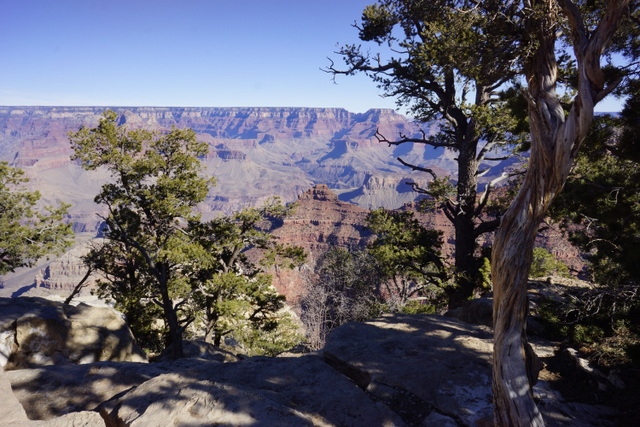 _DSC5458.JPG