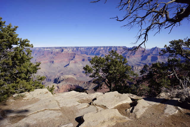 _DSC5461.JPG
