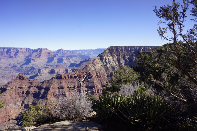 _DSC5460.JPG