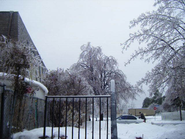 ʹY 067.JPG