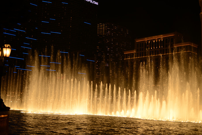 Thanksgiving at Las Vegas 2013 648_副本.jpg